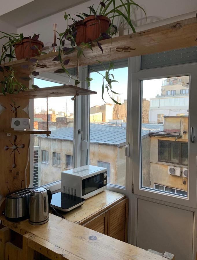 Appartamento Armeneasca Cozy